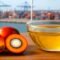 Palm Oil Magazine