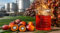 Palm Oil Magazine