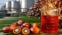 Palm Oil Magazine