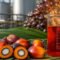 Palm Oil Magazine