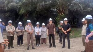Palm Oil Magazine