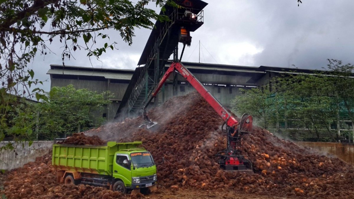 Palm Oil EFB Nanolignin Shows Potential to Remove Lead from Contaminated Water Palm Oil Magazine