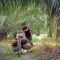 Palm Oil Magazine