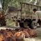 Palm Oil Magazine