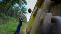 Palm Oil Magazine