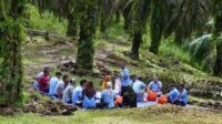FORTASBI Pushes Faster STDB Issuance to Unlock Sustainable Palm Oil Certification Palm Oil Magazine