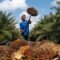 Palm Oil Magazine