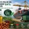 Palm Oil Magazine