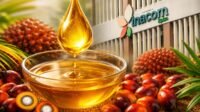 KPBN CPO Price Rises to IDR 15,702/Kg on Aug. 11, 2026 Palm Oil Magazine