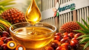Palm Oil Magazine