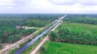 GAPKI West Sumatra Objects to Rainfall-Based Surface Water Tax on Palm Oil Plantations Palm Oil Magazine