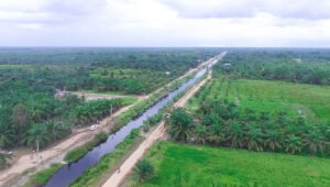 Palm Oil Magazine