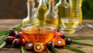 Palm Oil Magazine