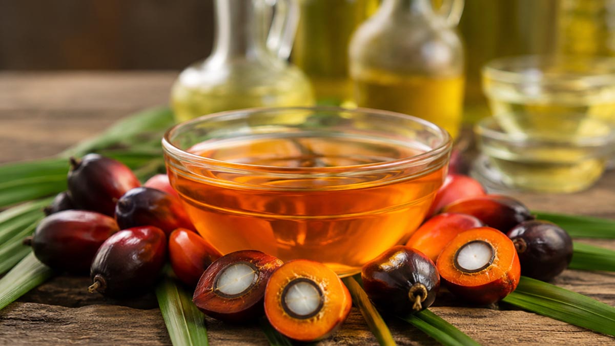 Palm Oil Magazine