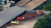 Indonesian Palm Oil Farmers Reject Jambi Mill Moratorium Plan, Warn of Higher Costs Palm Oil Magazine