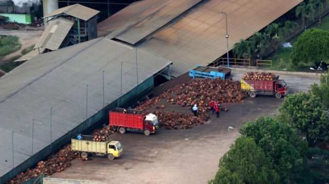 Palm Oil Magazine