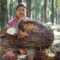Palm Oil Magazine