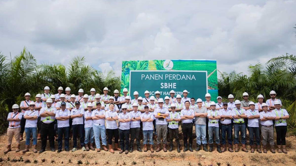 Palm Oil Magazine