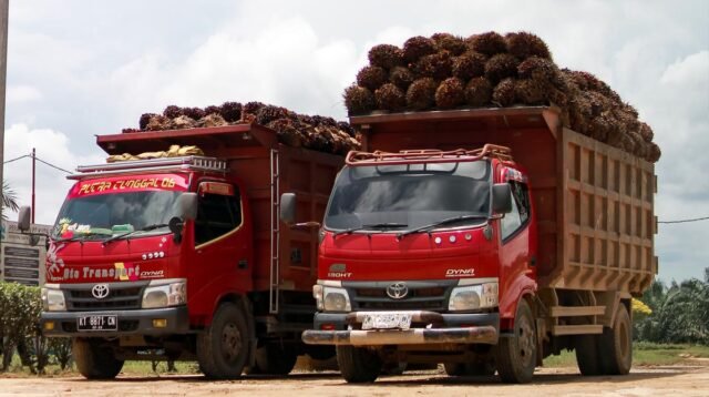 Palm Oil Magazine
