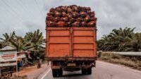 Palm Oil Magazine