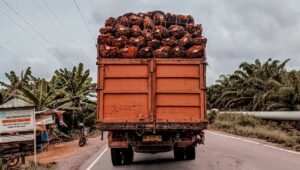 Palm Oil Magazine