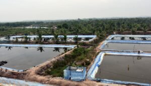 Palm Oil Magazine