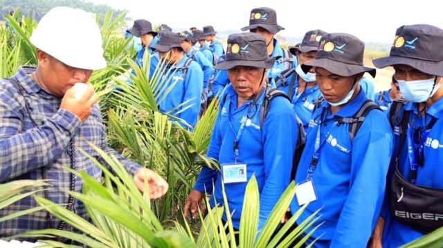 Palm Oil Magazine