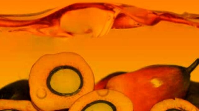 Palm Oil Magazine
