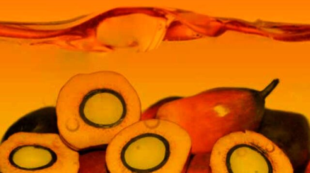 Palm Oil Magazine