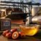 Palm Oil Magazine