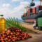 Palm Oil Magazine