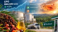 CPO Prices Forecast to Stay High Through 2027 on El Niño Risk and Biodiesel Demand Palm Oil Magazine