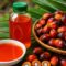 Palm Oil Magazine