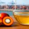 Palm Oil Magazine