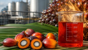 Palm Oil Magazine