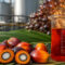 Palm Oil Magazine