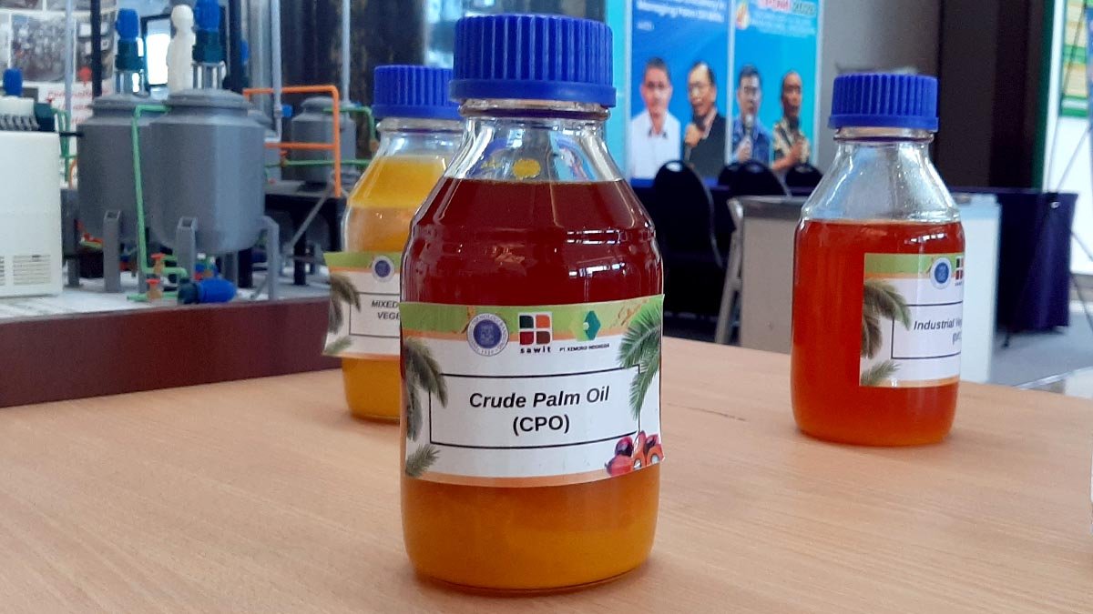 Palm Oil Magazine