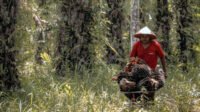 Palm Oil Magazine