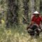 Palm Oil Magazine