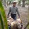 Palm Oil Magazine