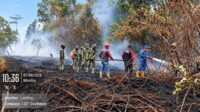 Forest Fire Near PT Jalin Vaneo Plantation Prompts Manggala Agni Response in Kayong Utara Palm Oil Magazine