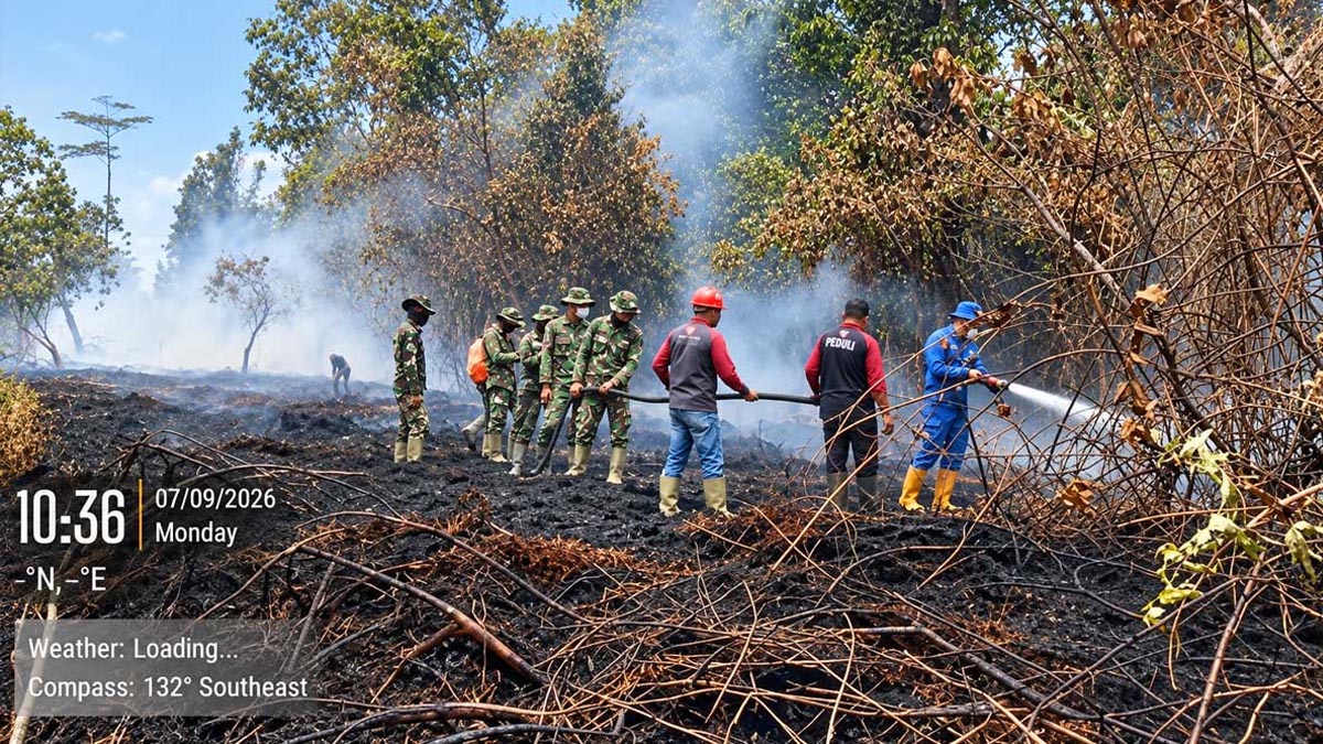 Palm Oil Magazine