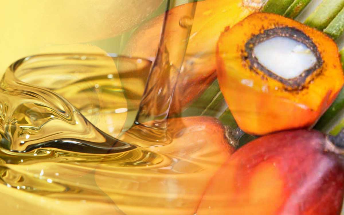 Palm Oil Magazine