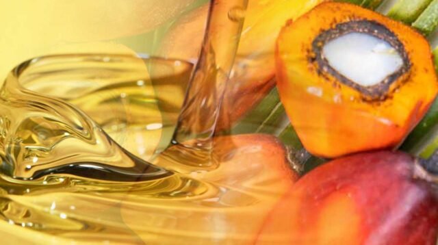 Palm Oil Magazine