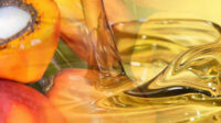 Malaysia Targets India Palm Oil Market as Exports Surge 40.4% in 2026 Palm Oil Magazine