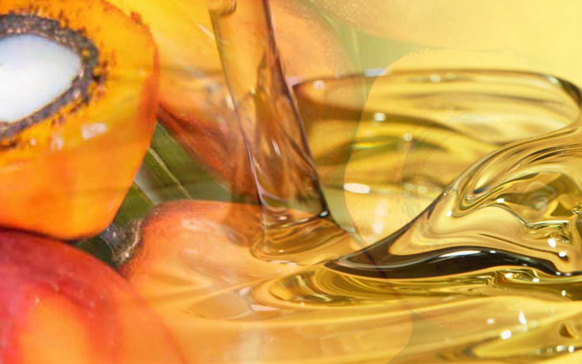 Palm Oil Magazine