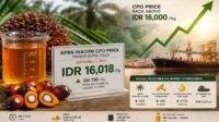 KPBN Inacom CPO Price Rises to IDR 16,018/Kg on September 1 Palm Oil Magazine