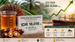 Palm Oil Magazine