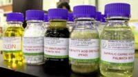 Indonesia’s Non-Oil and Gas Exports Rise 6.84% in July, Vegetable Oils Lead Trade Surplus Palm Oil Magazine