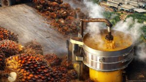 Palm Oil Magazine